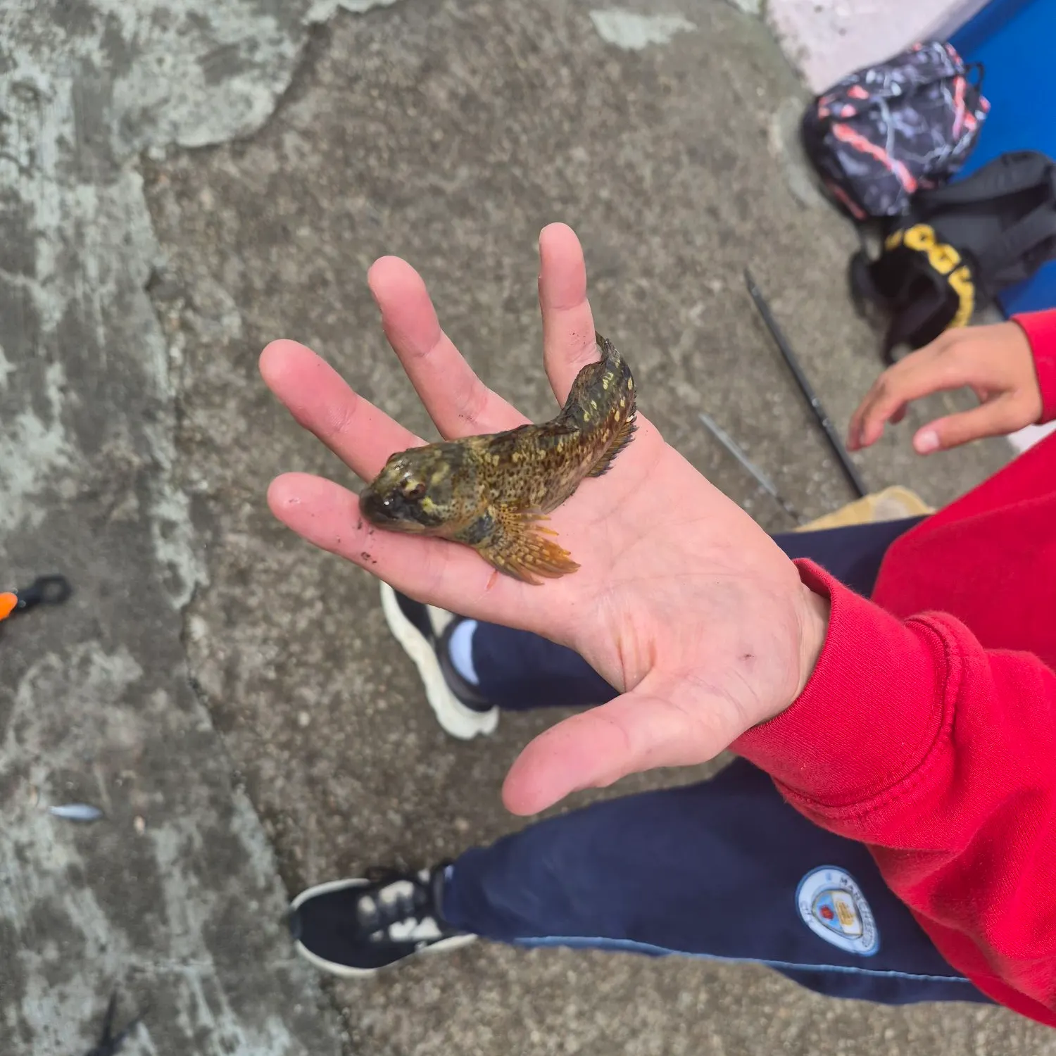 The most recent European conger catches on Fishbrain