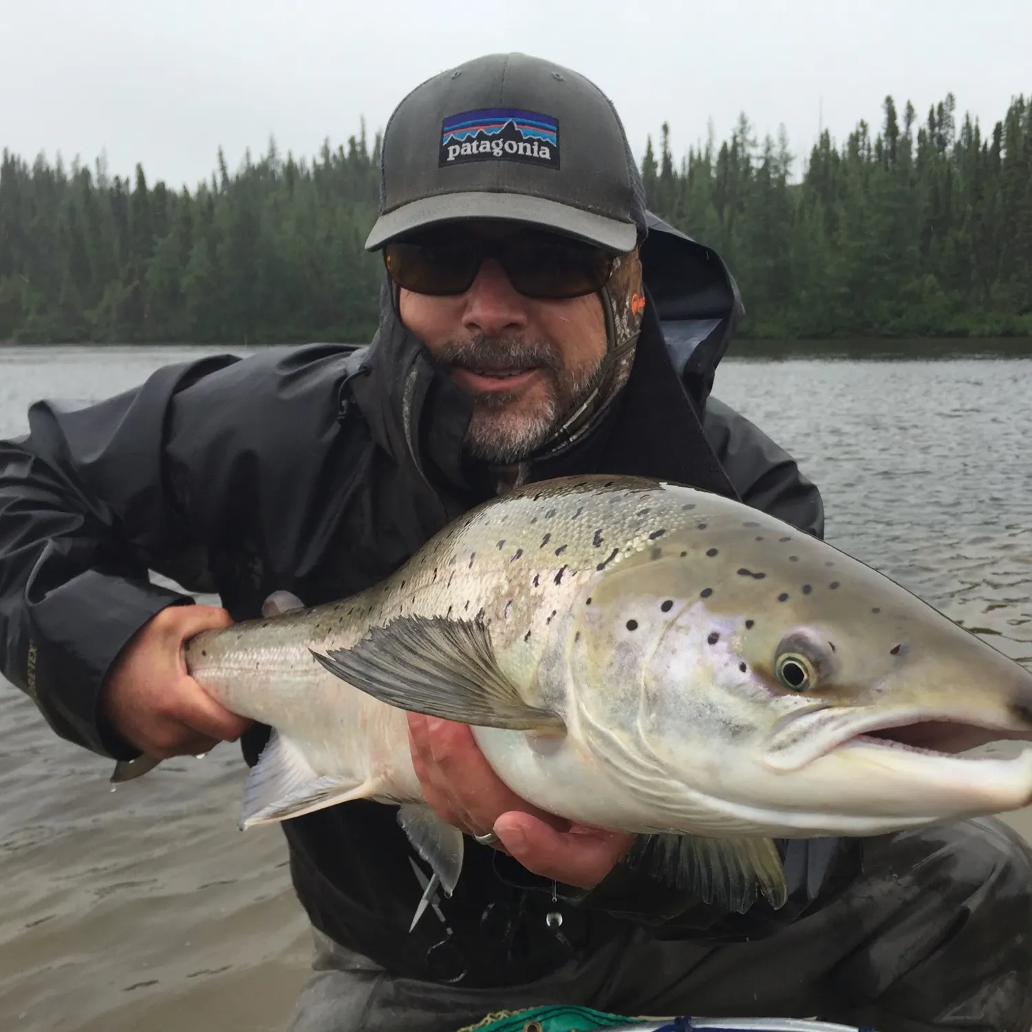 Atlantic salmon caught on Fishbrain