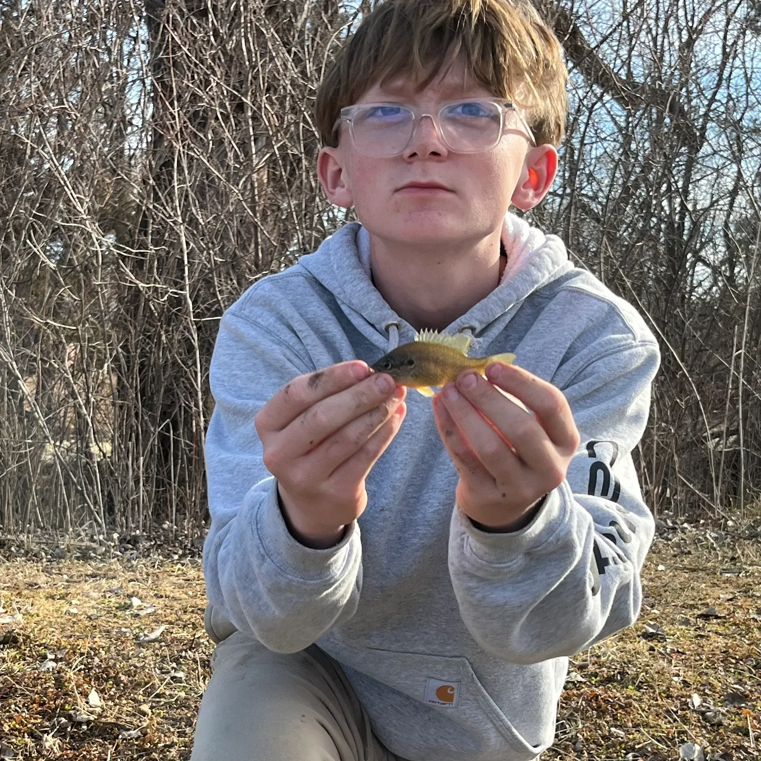 The most recent Green sunfish catches on Fishbrain