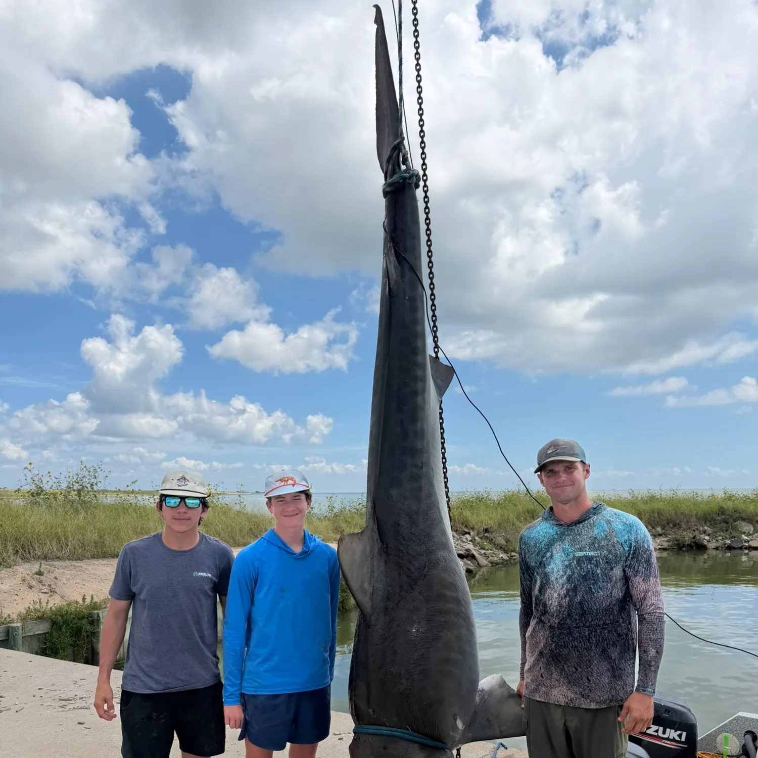 The most recent Tiger shark catches on Fishbrain