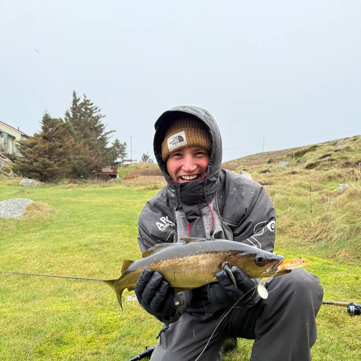 The most recent Pollack catches on Fishbrain