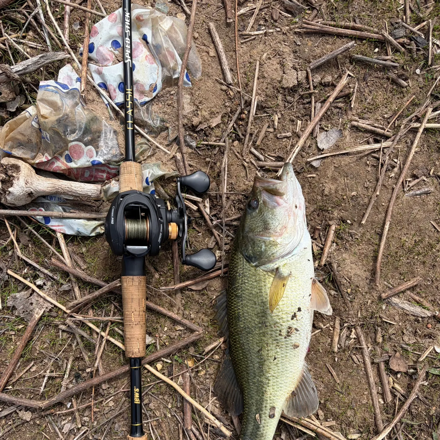 The most recent Largemouth bass catches on Fishbrain