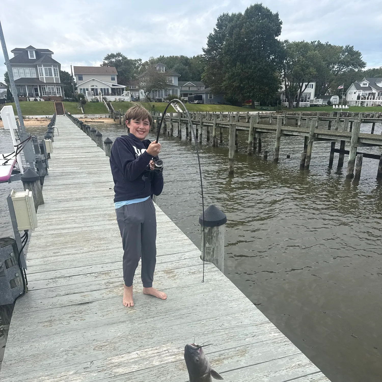 Blue catfish caught on Fishbrain
