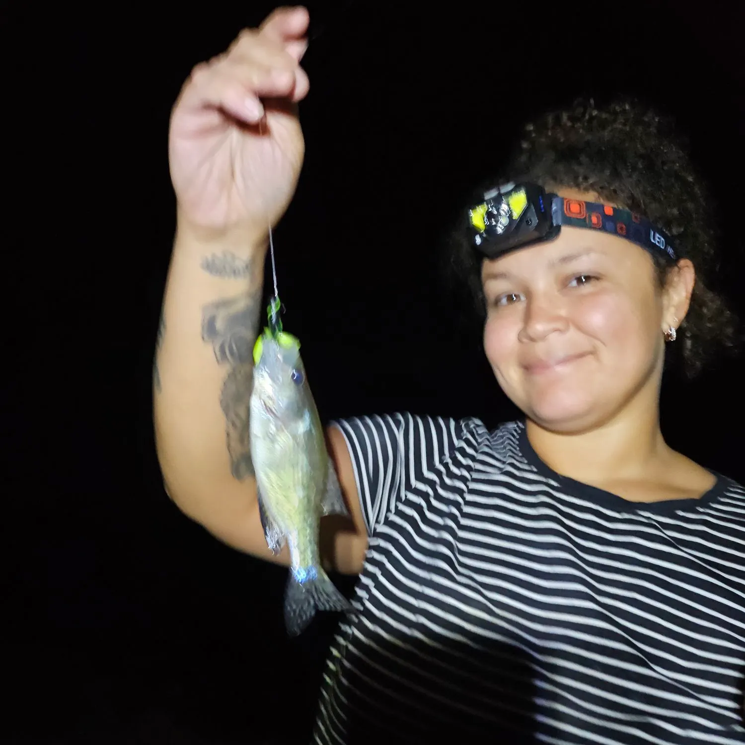 recently logged catches