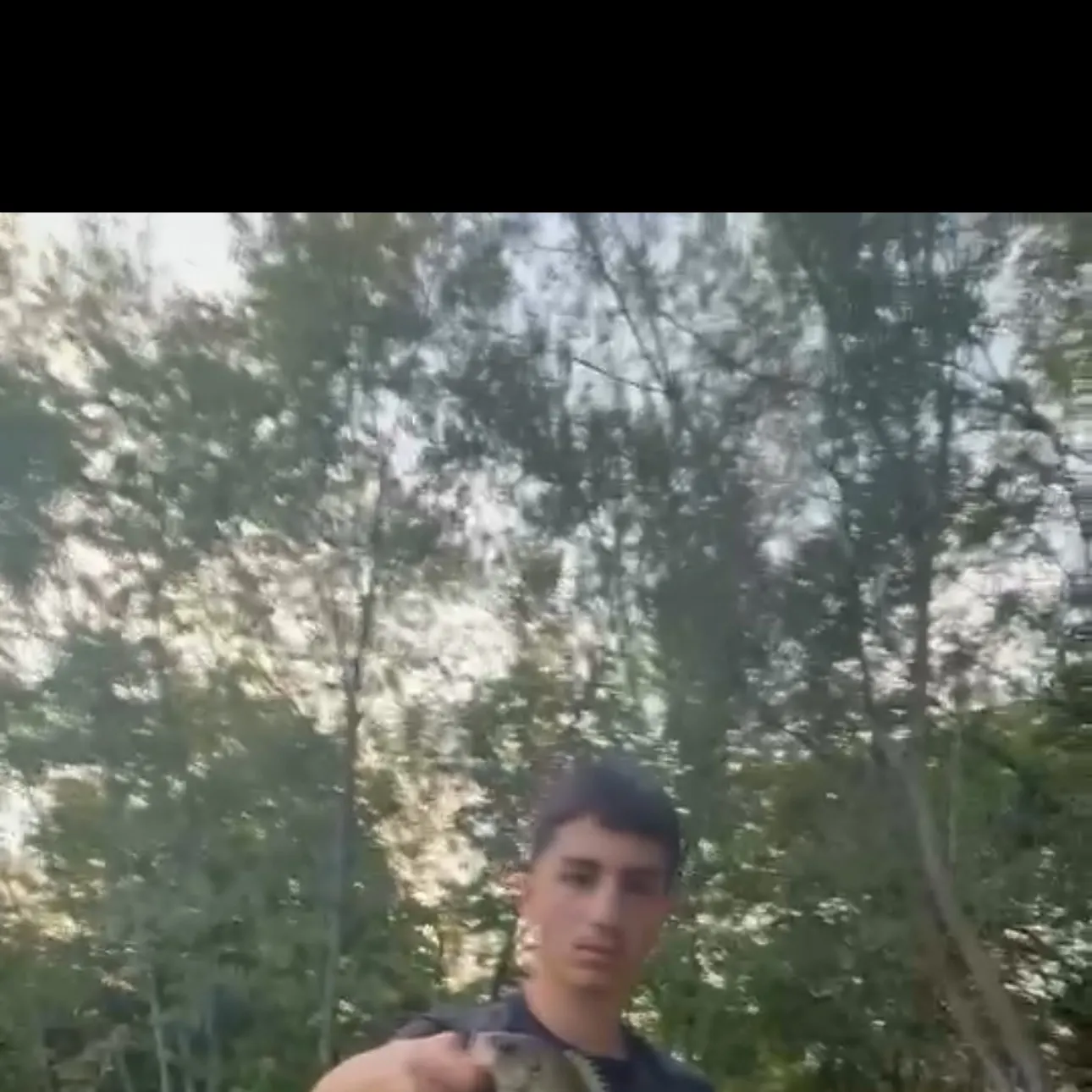 Rock bass caught on Fishbrain