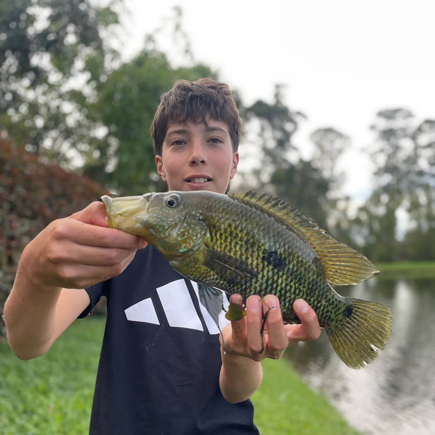 The most recent Three spotted tilapia catches on Fishbrain