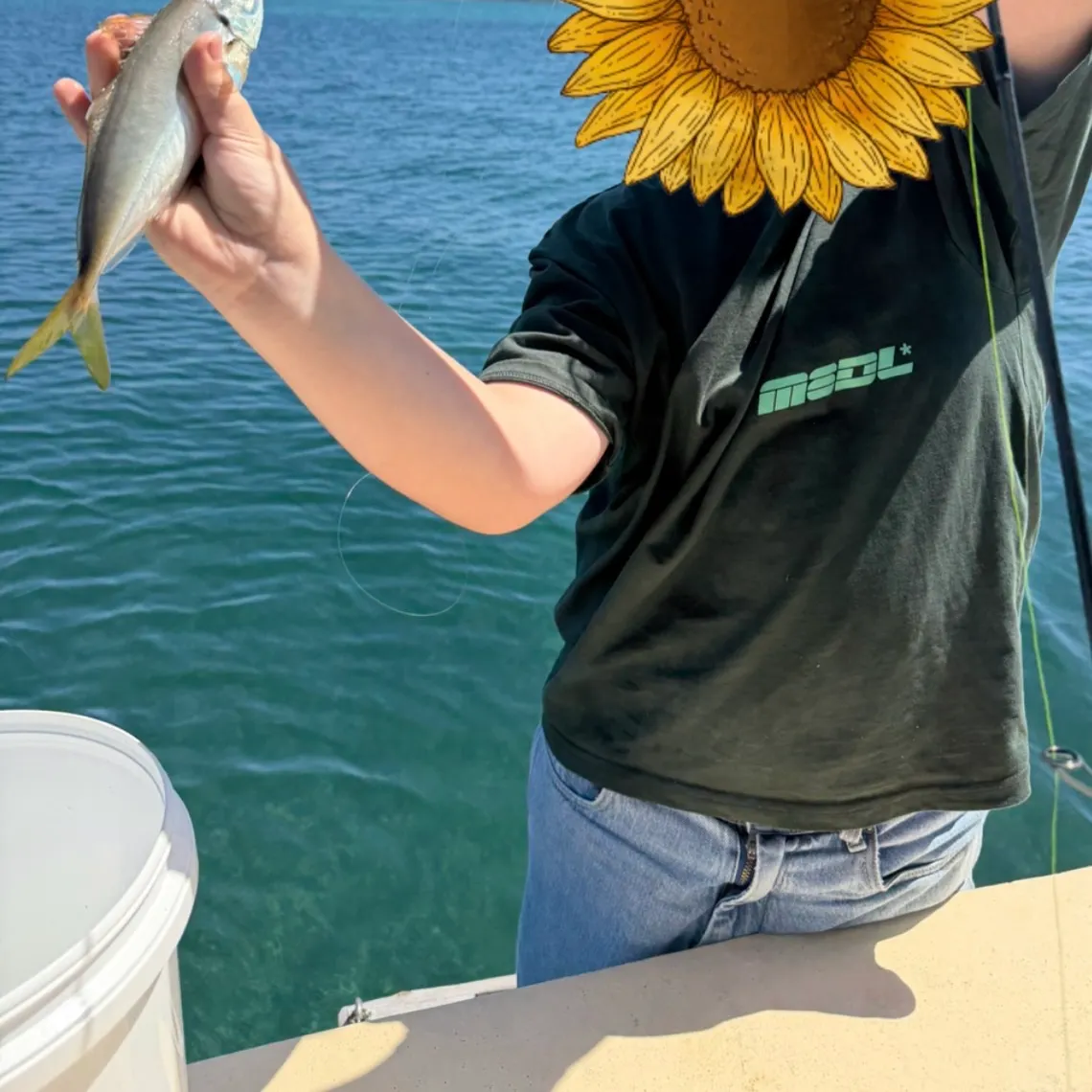 Yellowtail scad caught on Fishbrain