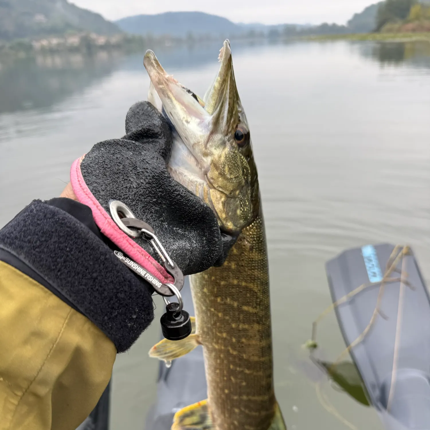 Northern pike caught on Fishbrain