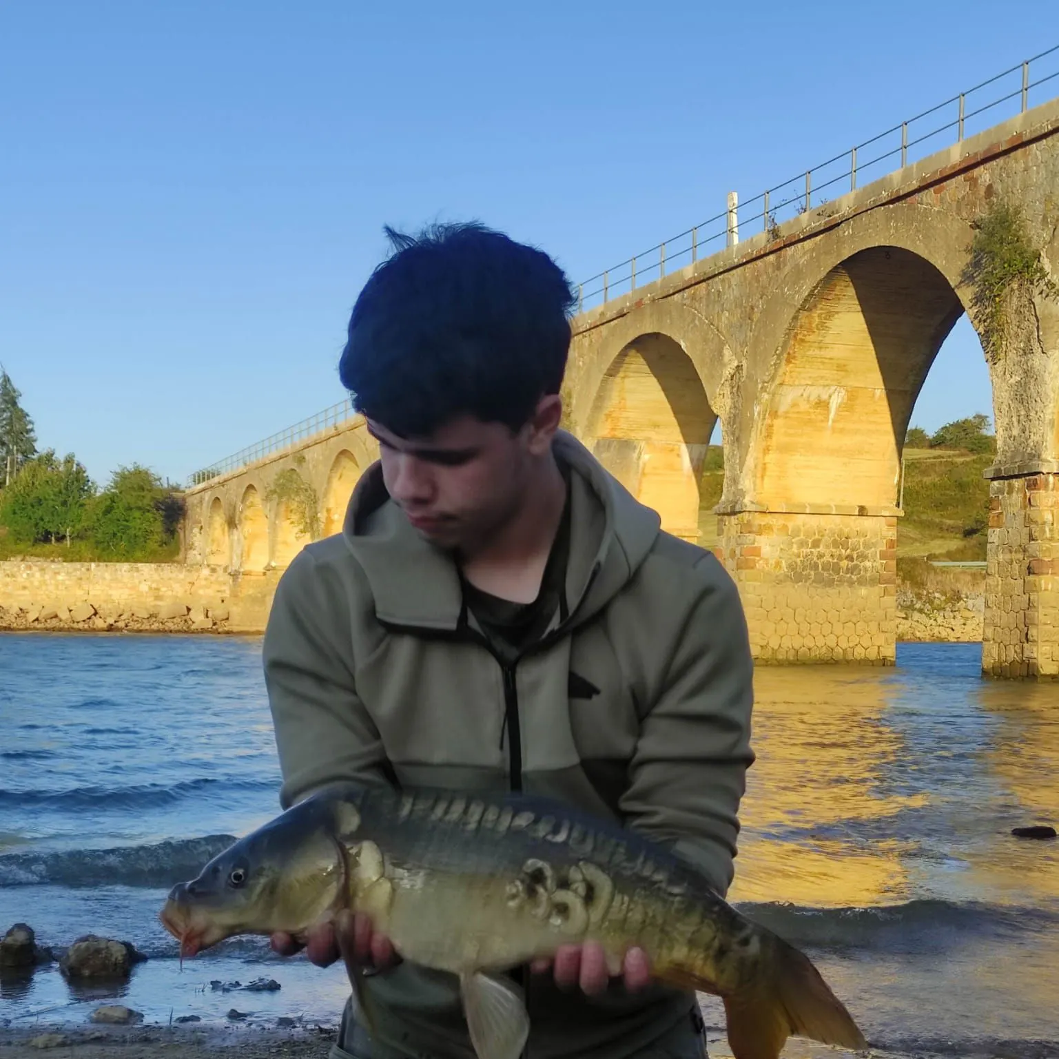 Mirror carp caught on Fishbrain