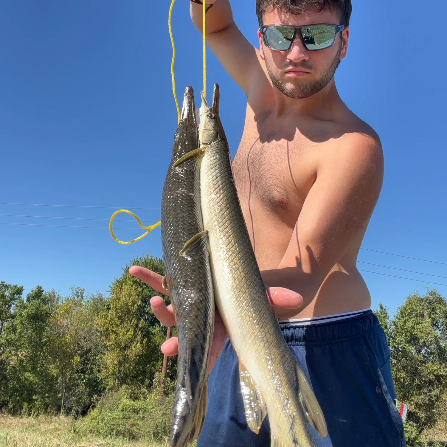 Shortnose gar caught on Fishbrain