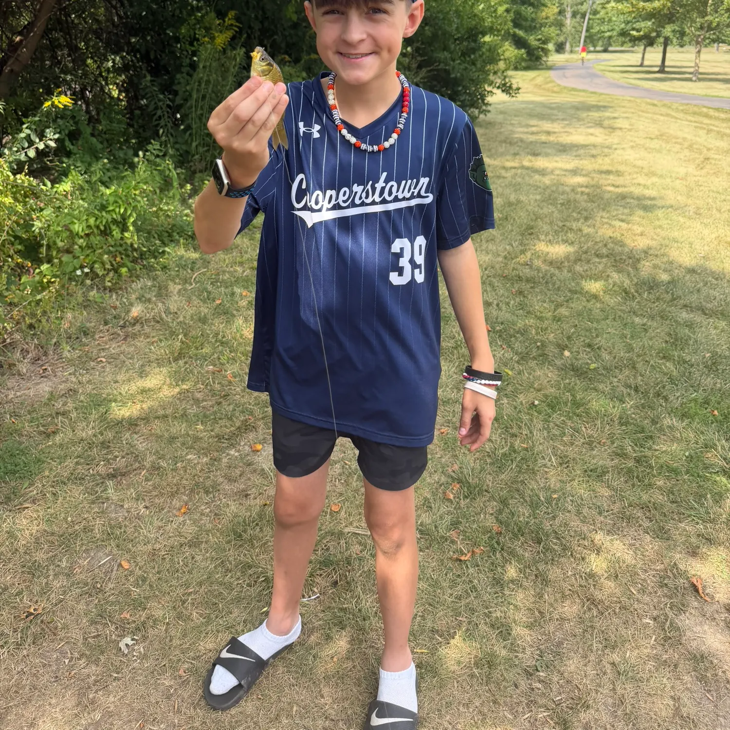 Common carp caught on Fishbrain