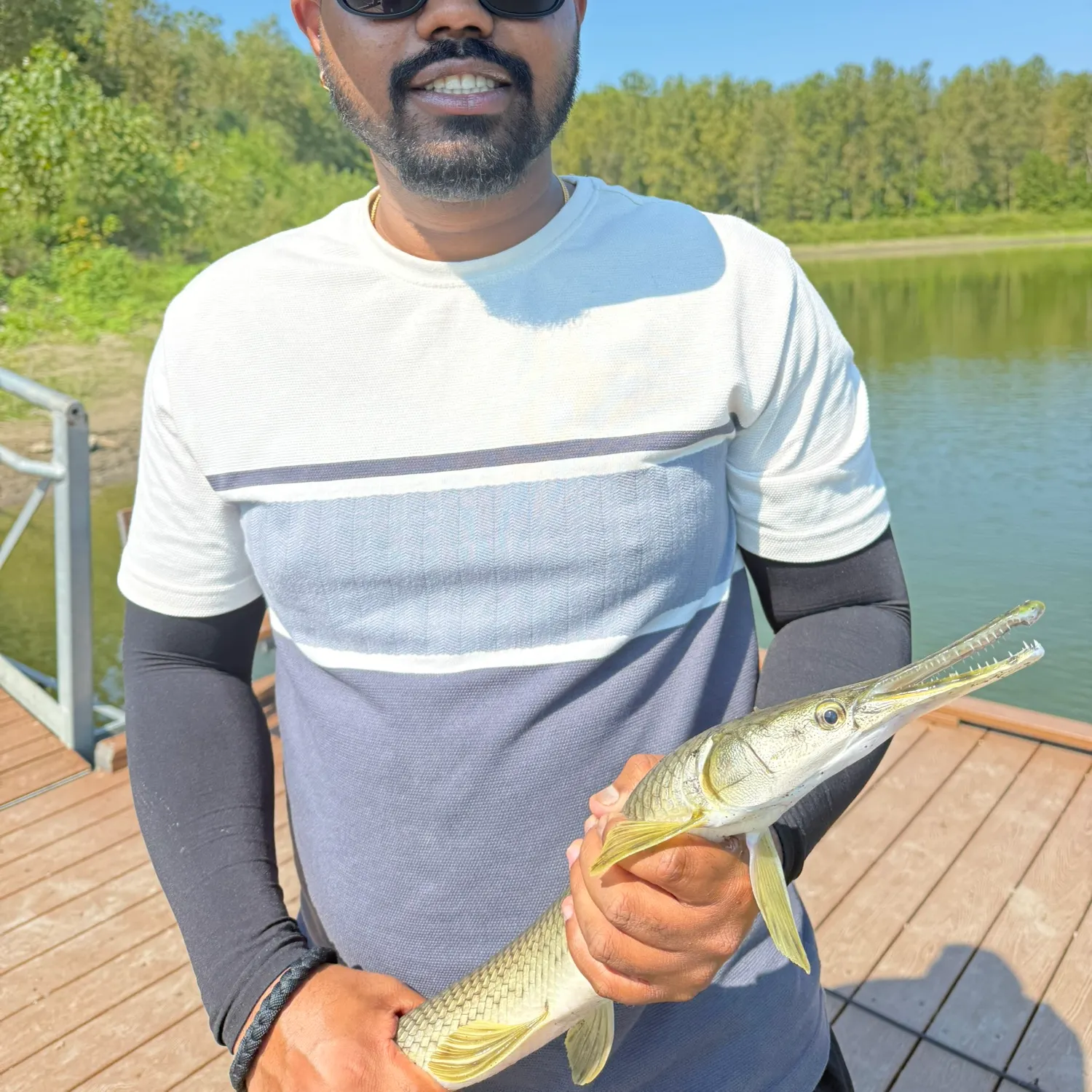 Shortnose gar caught on Fishbrain