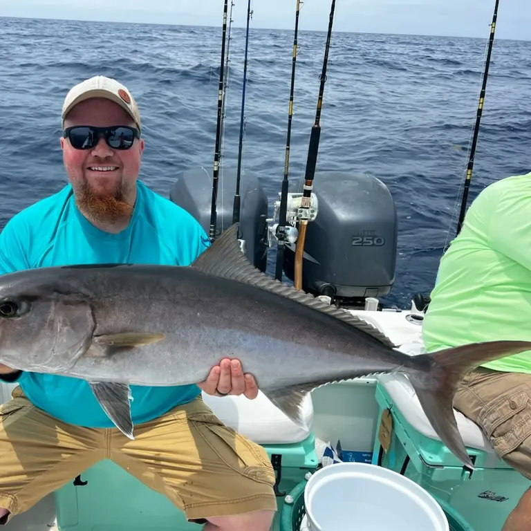 The most recent Greater amberjack catches on Fishbrain