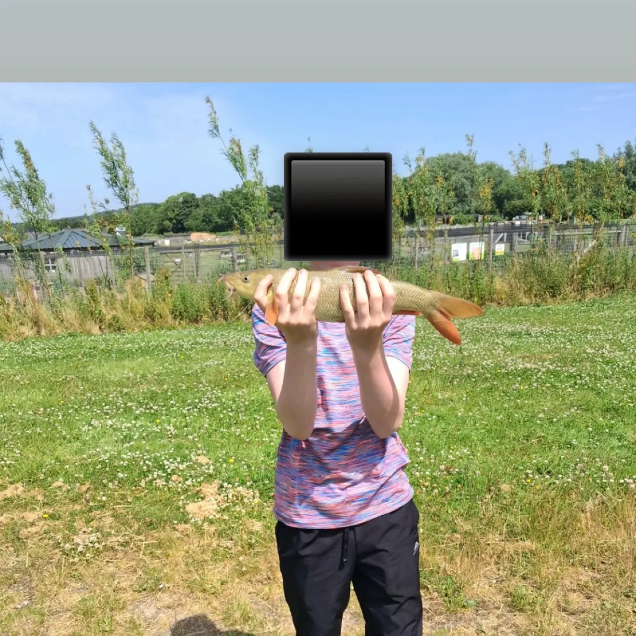 The most recent Common barbel catches on Fishbrain