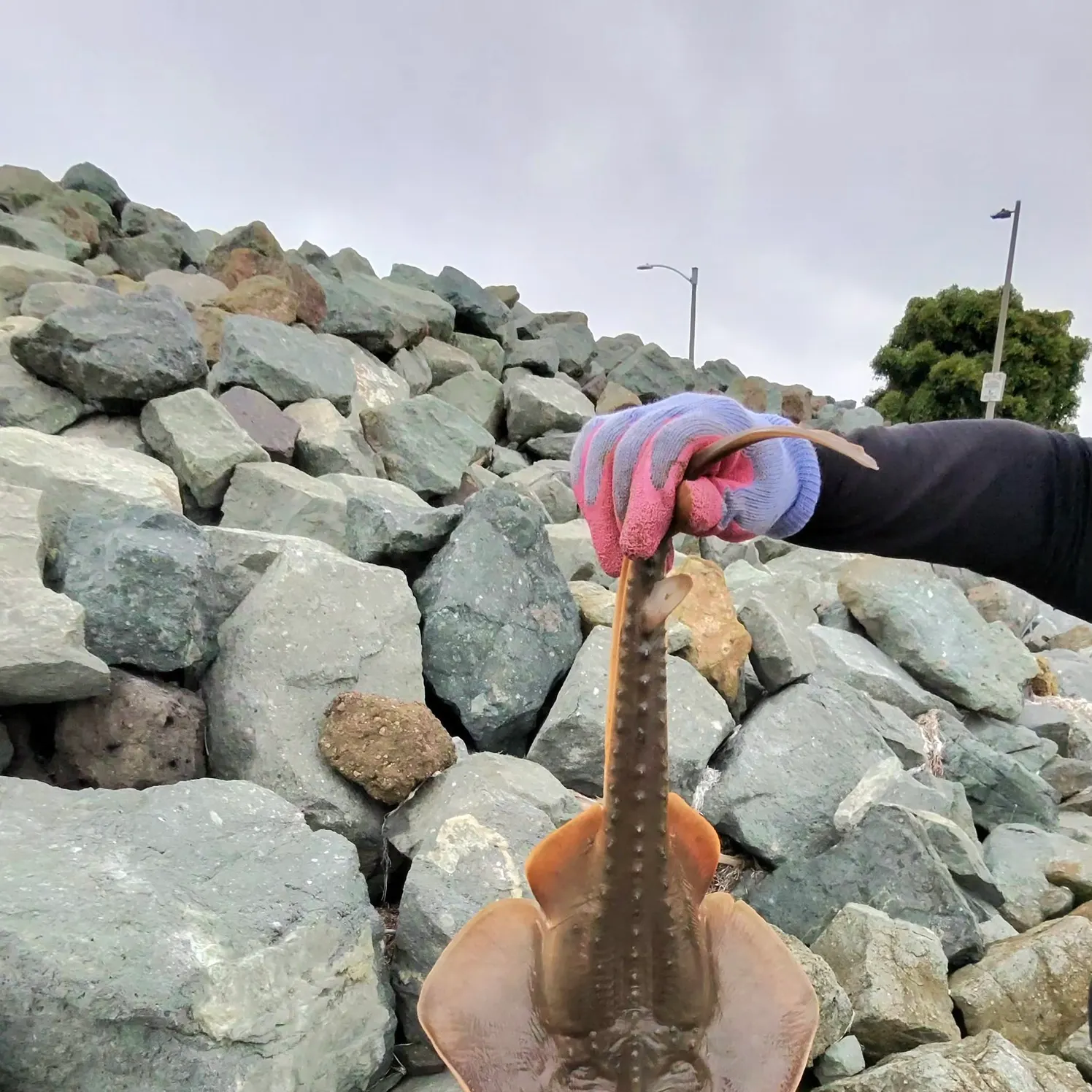 catch