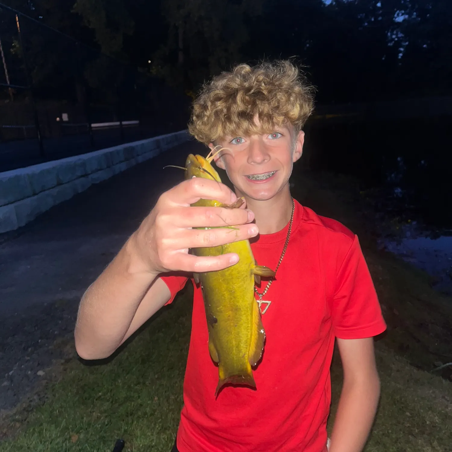 Yellow bullhead caught on Fishbrain