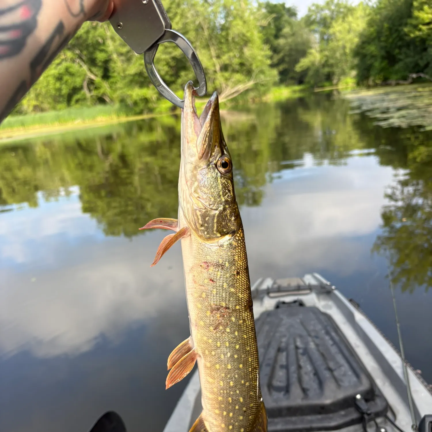 catch