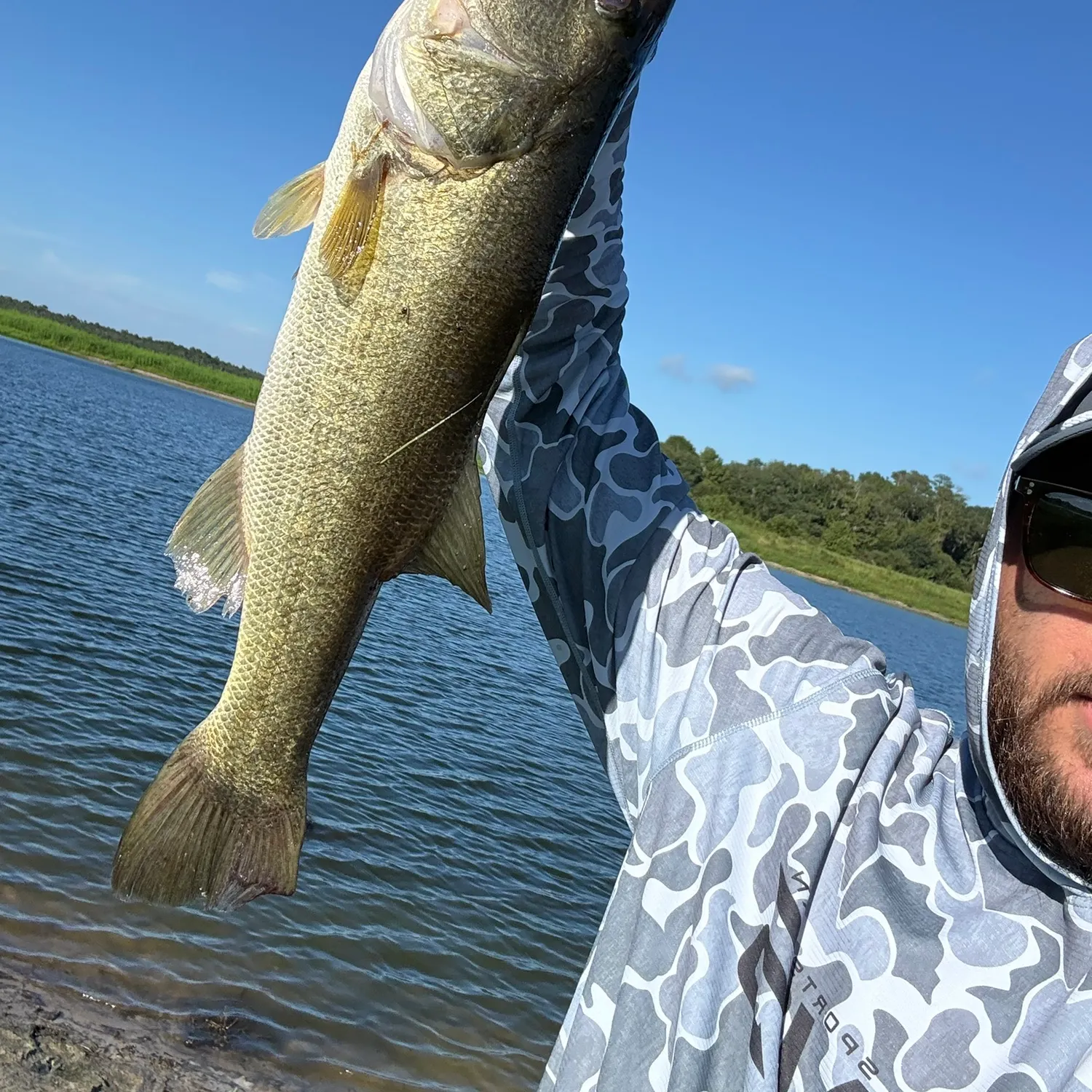 Largemouth bass caught on Fishbrain