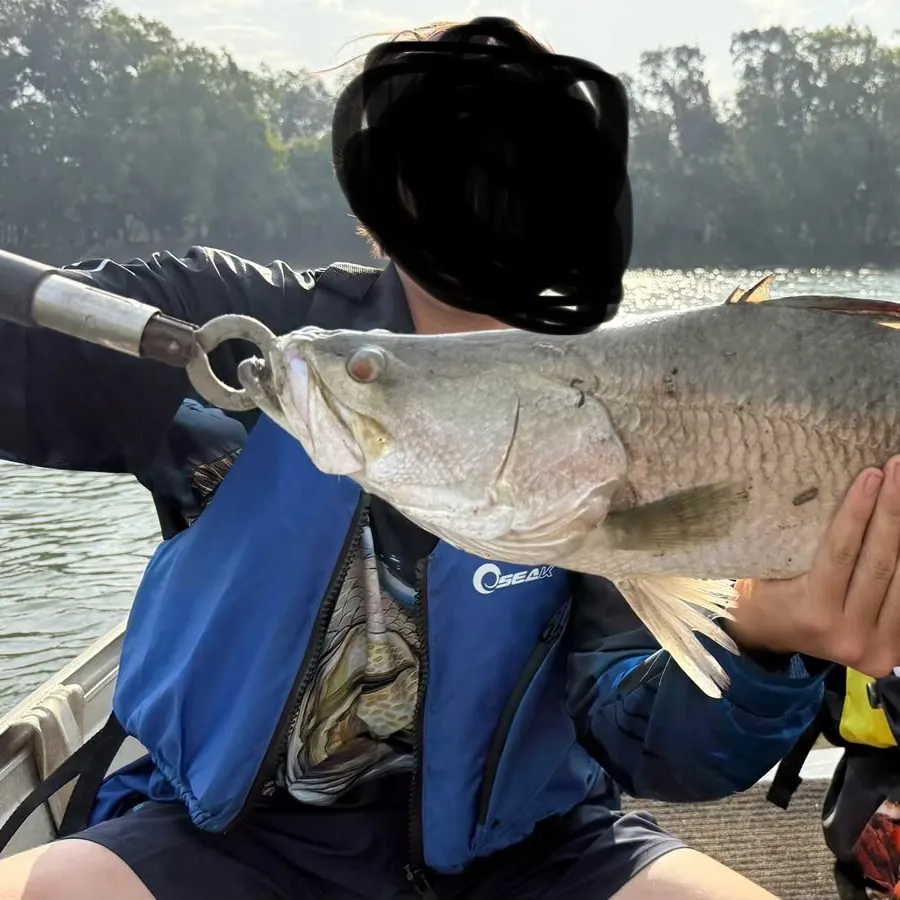 Barramundi caught on Fishbrain