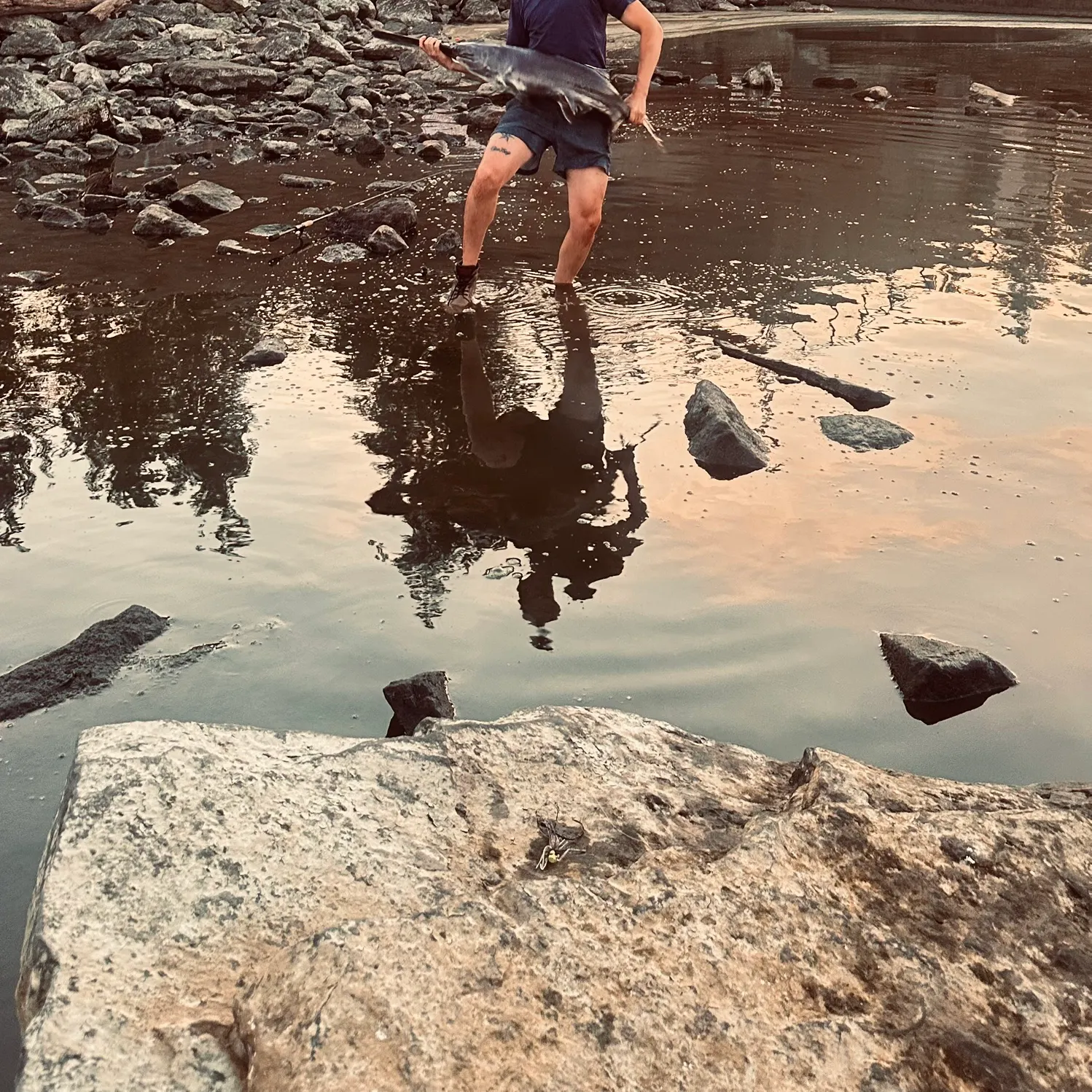 catch