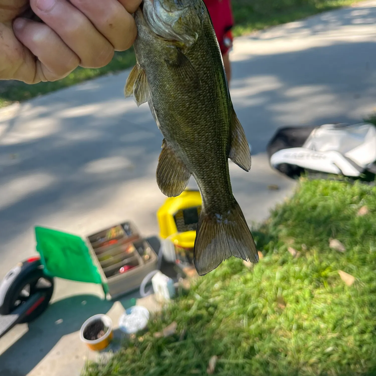 catch