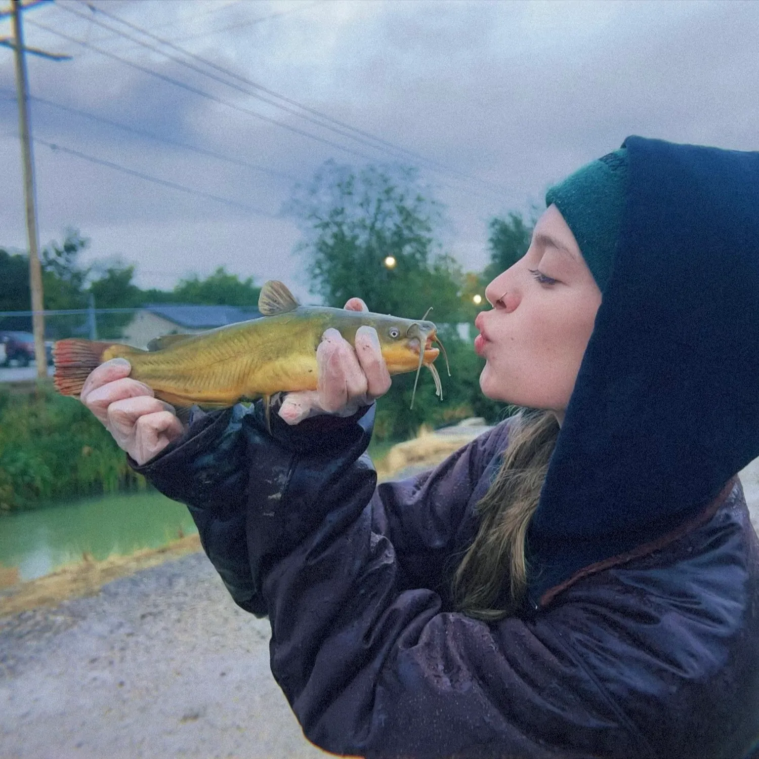 Yellow bullhead caught on Fishbrain