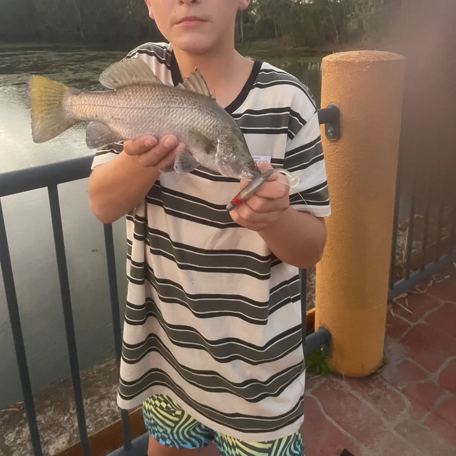 Barramundi caught on Fishbrain