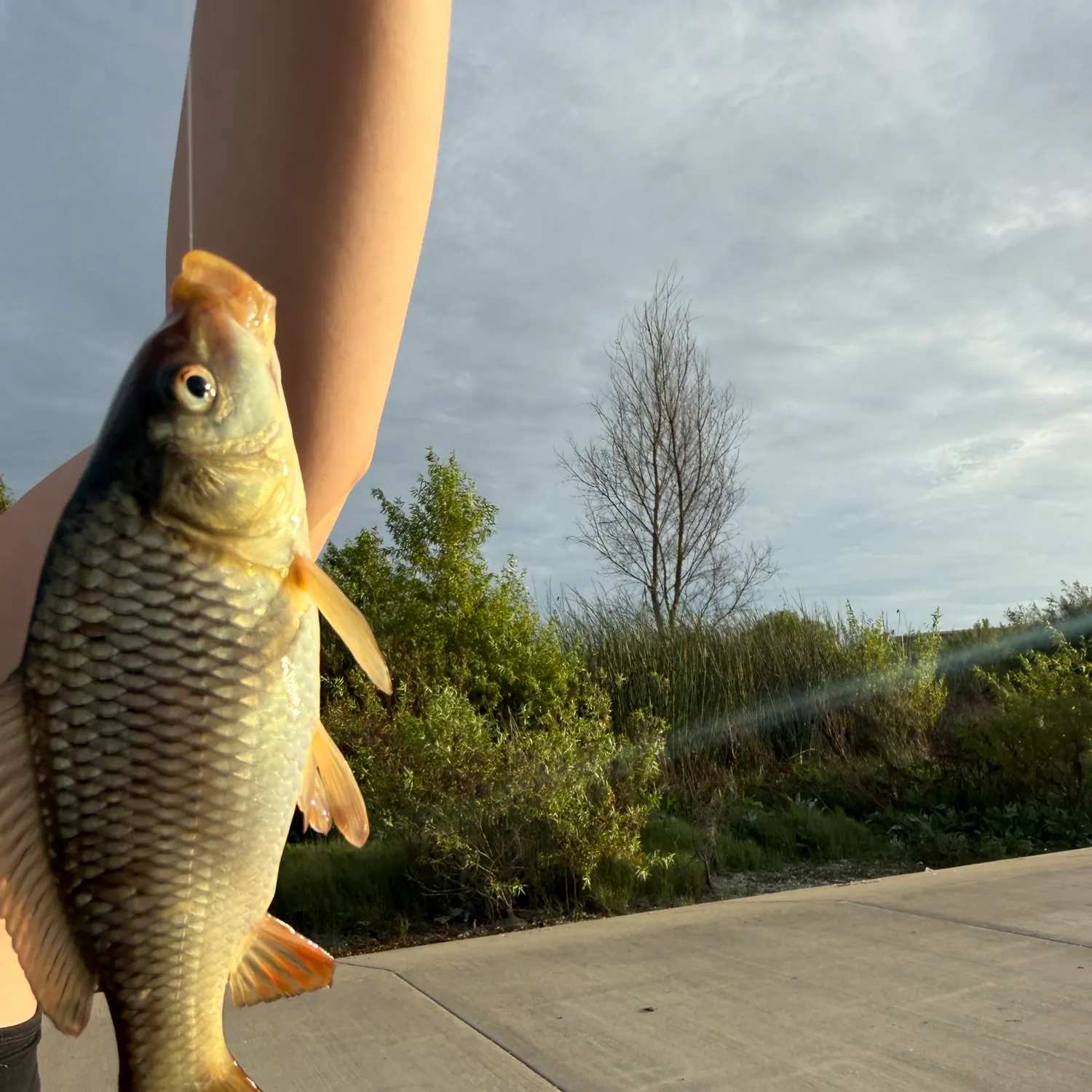 catch