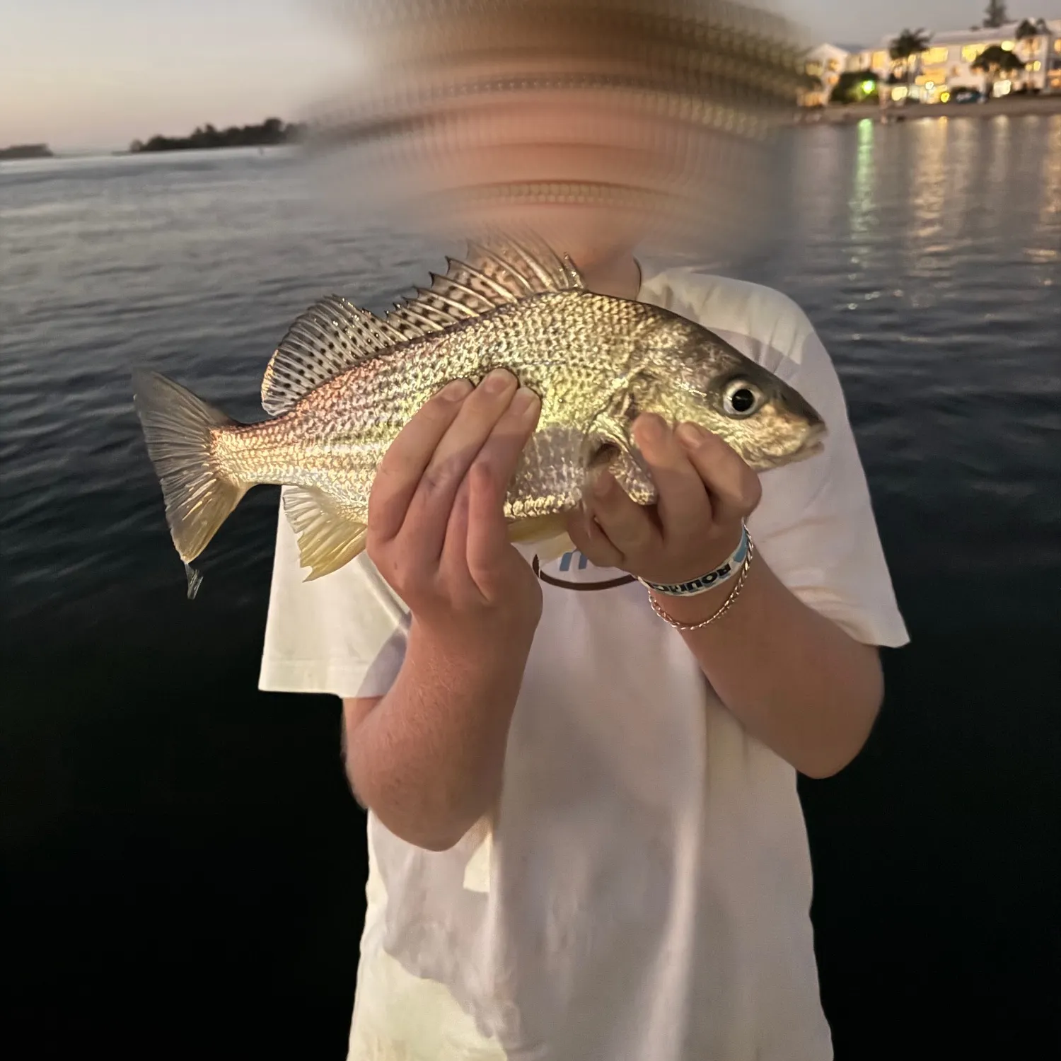 The most recent Javelin grunter catches on Fishbrain