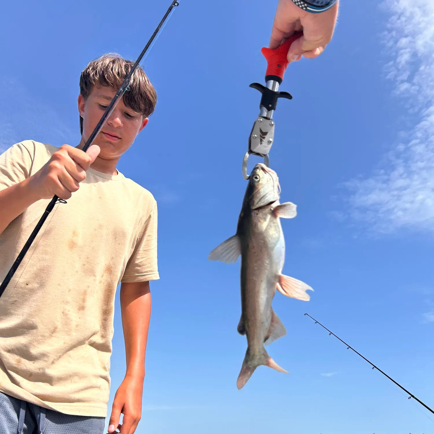 catch