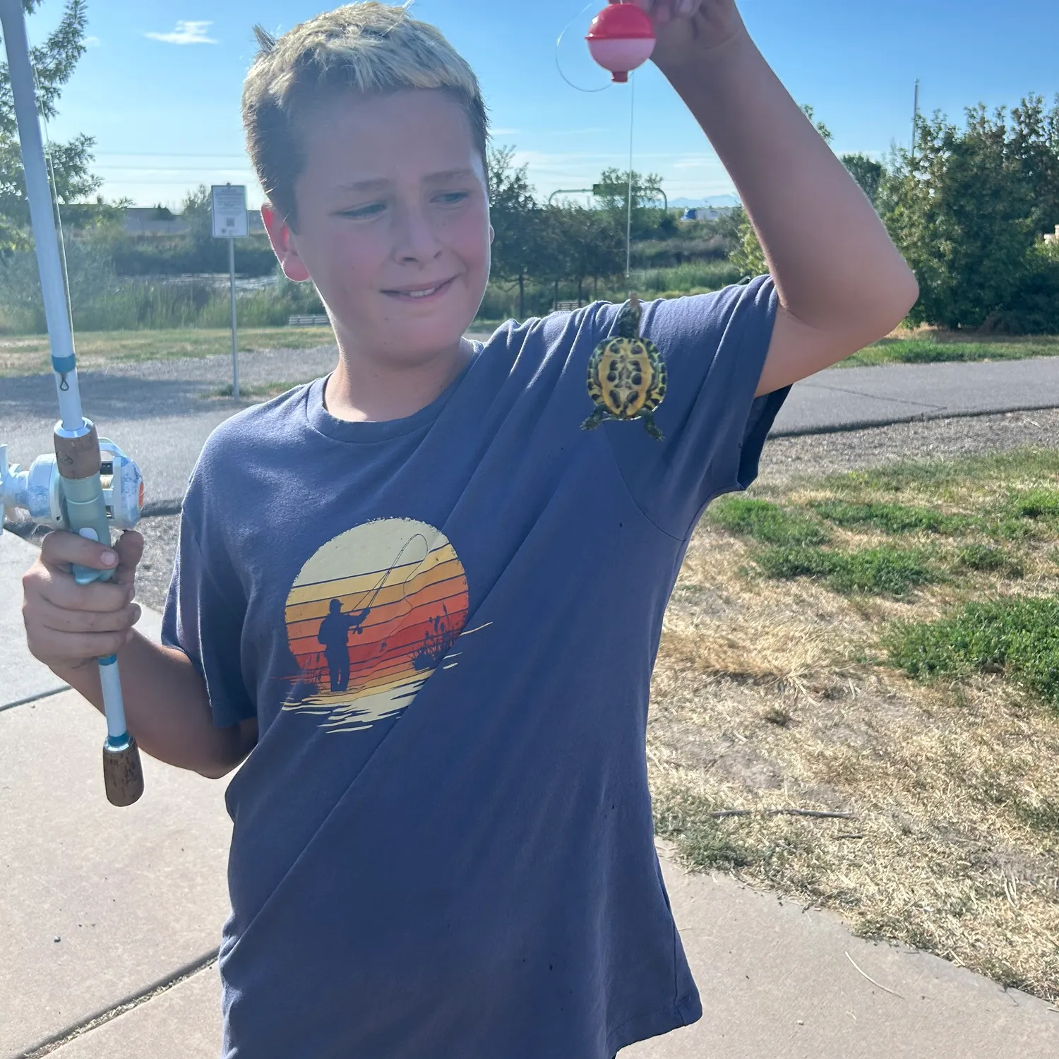 The most recent Bala shark catches on Fishbrain