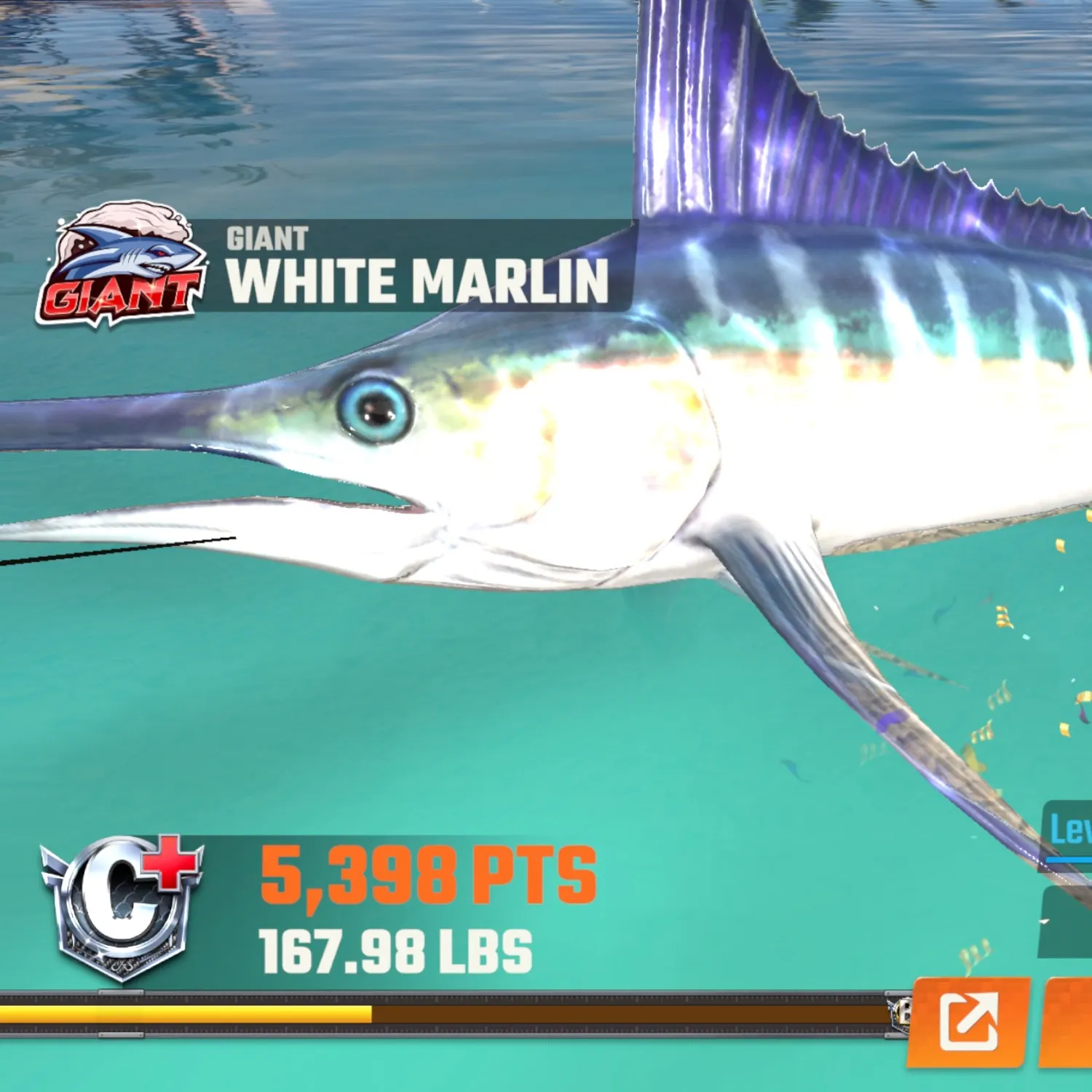 The most recent Atlantic white marlin catches on Fishbrain