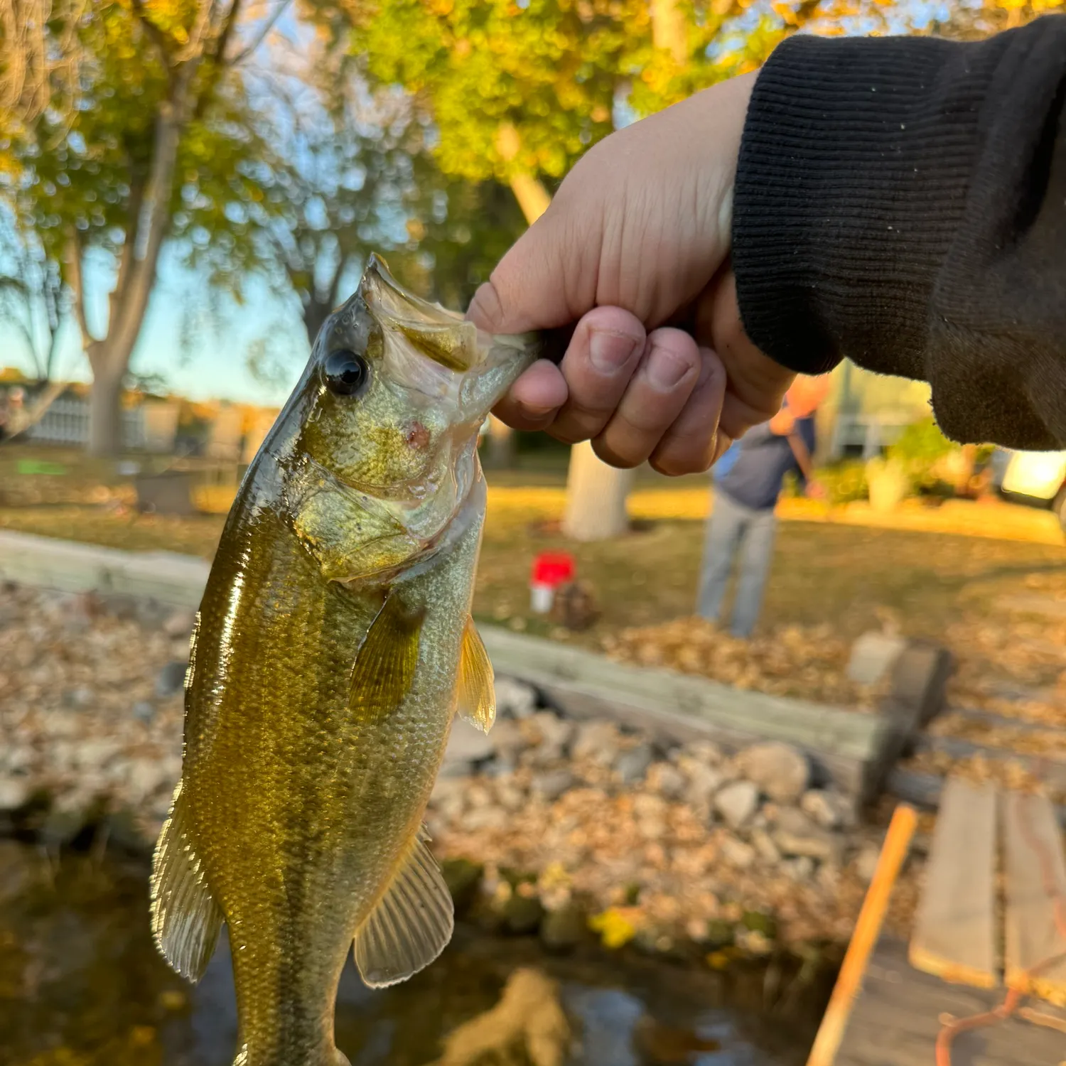catch