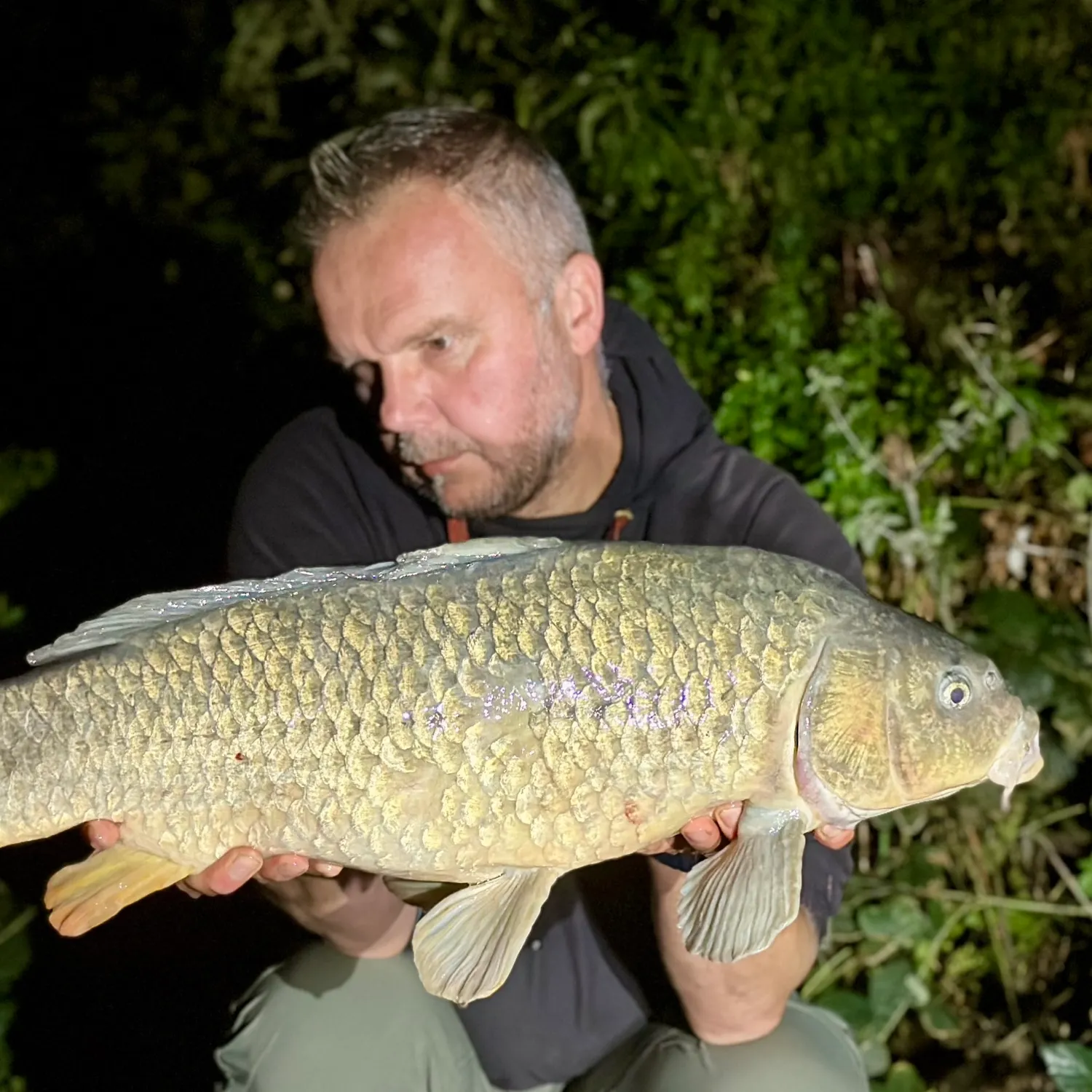 Common carp caught on Fishbrain