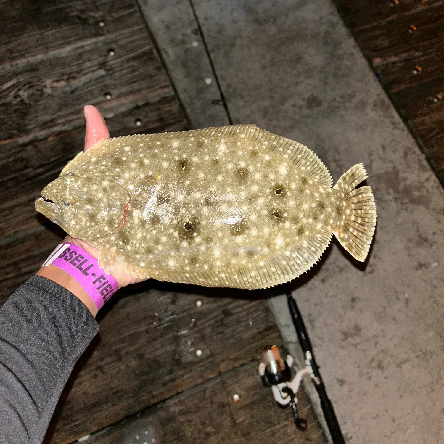 The most recent Southern flounder catches on Fishbrain