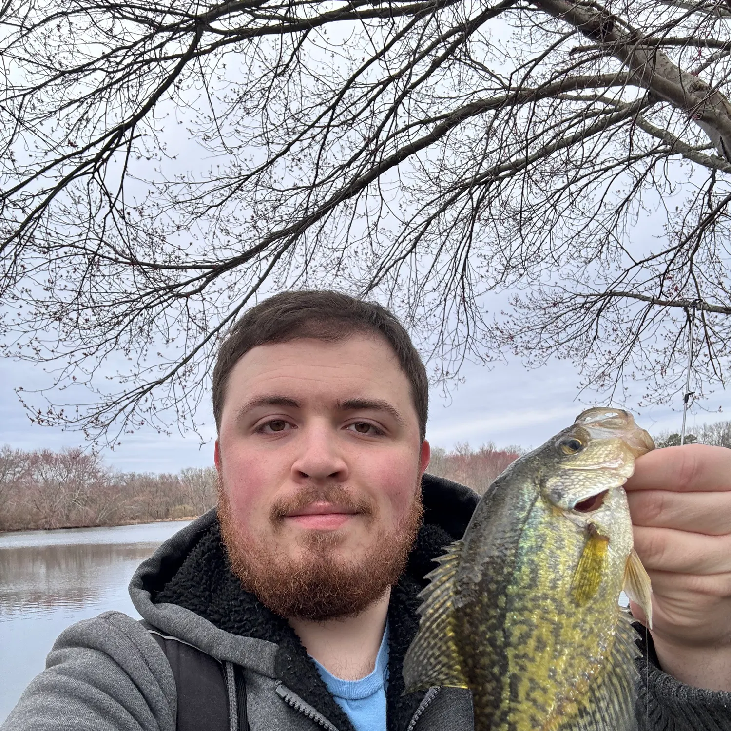 The most recent Black crappie catches on Fishbrain