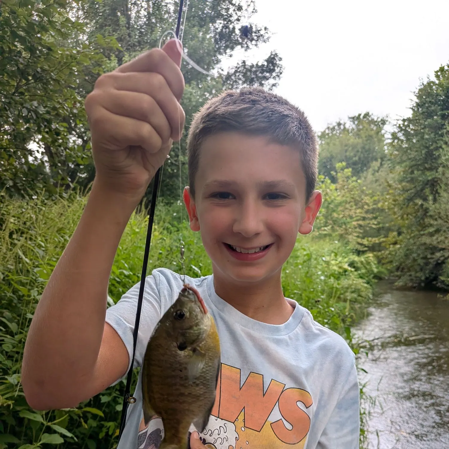 Bluegill caught on Fishbrain