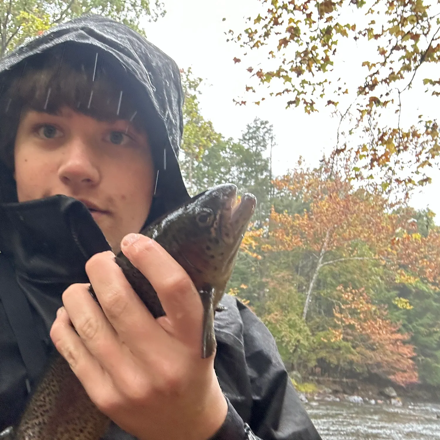 Rainbow trout caught on Fishbrain