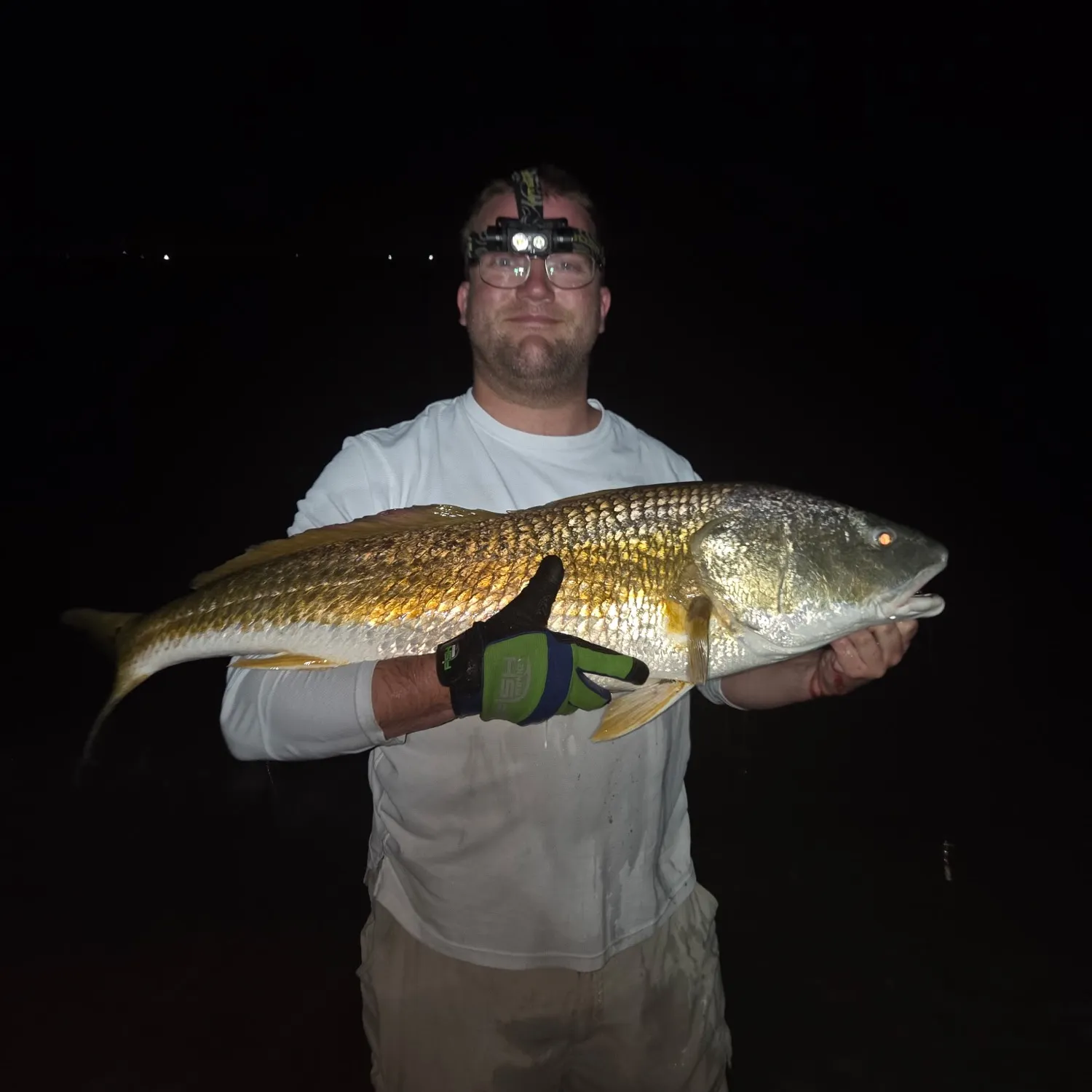 Red drum caught on Fishbrain
