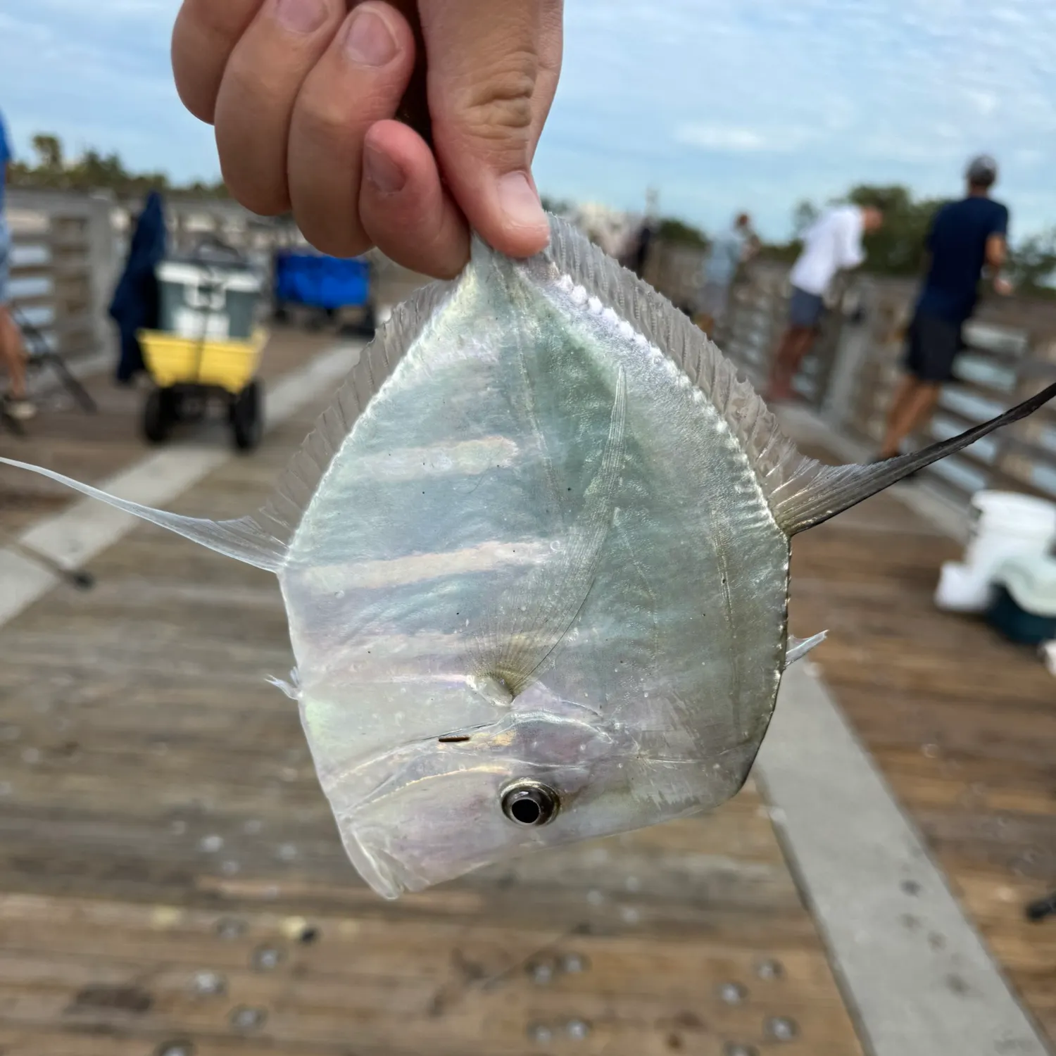 catch