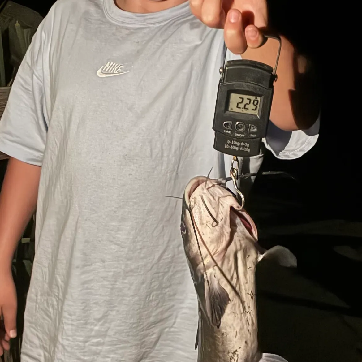 Channel catfish caught on Fishbrain