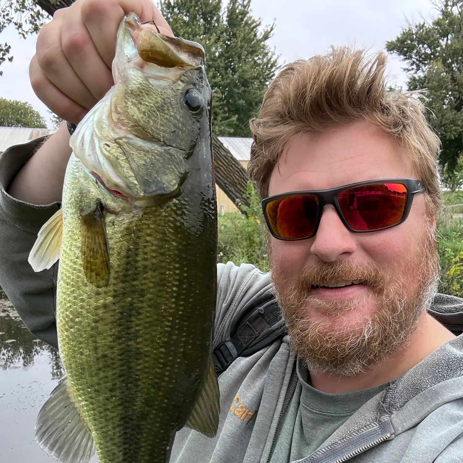 Largemouth bass caught on Fishbrain