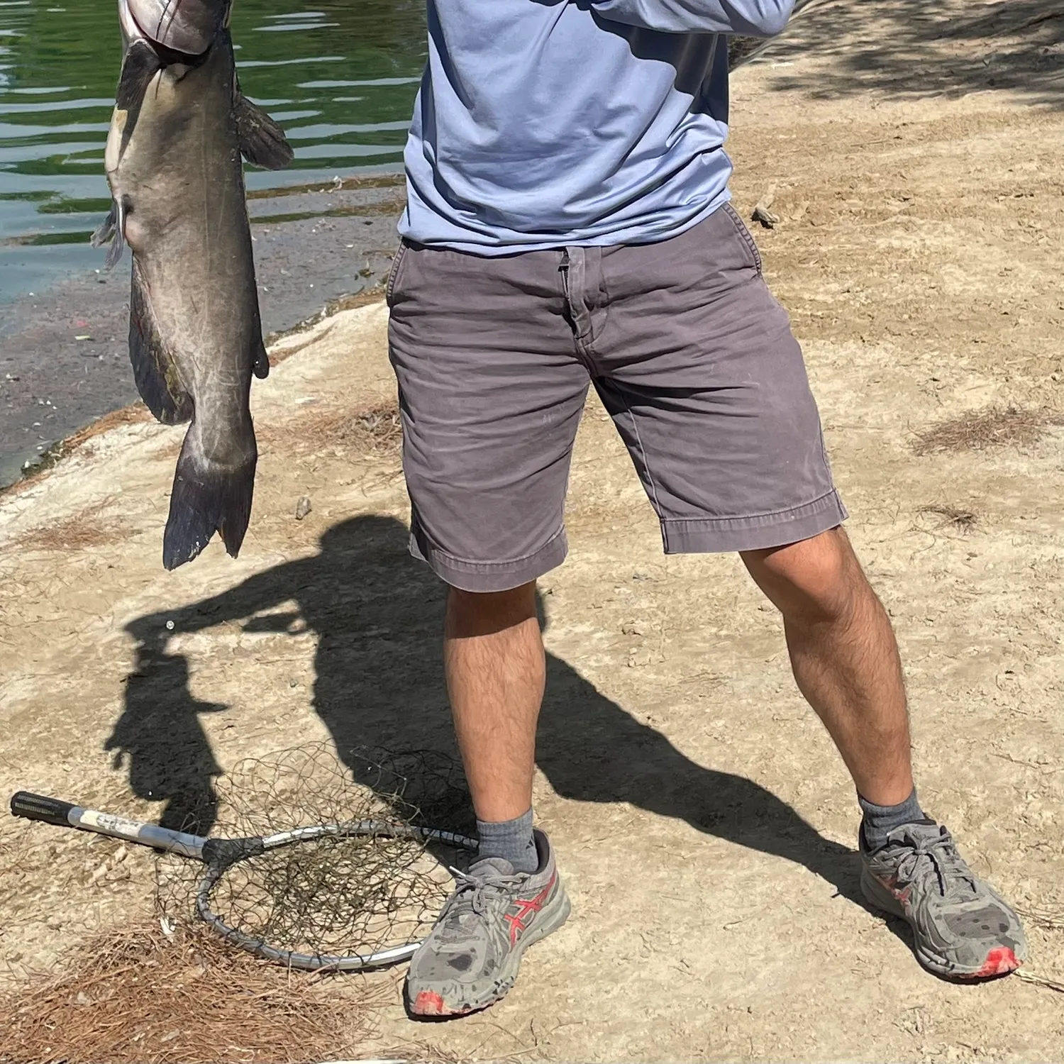 Channel catfish caught on Fishbrain