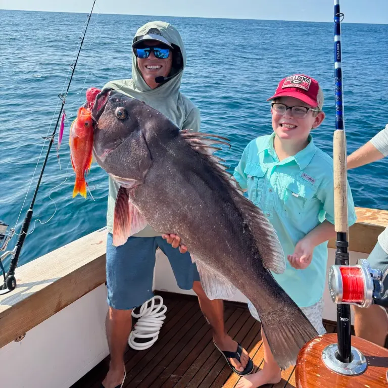 The most recent Pacific goliath grouper catches on Fishbrain