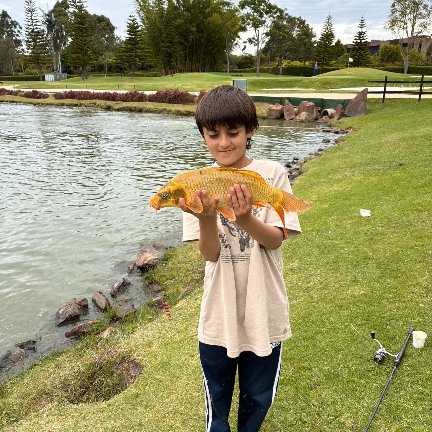 Koi x common carp caught on Fishbrain
