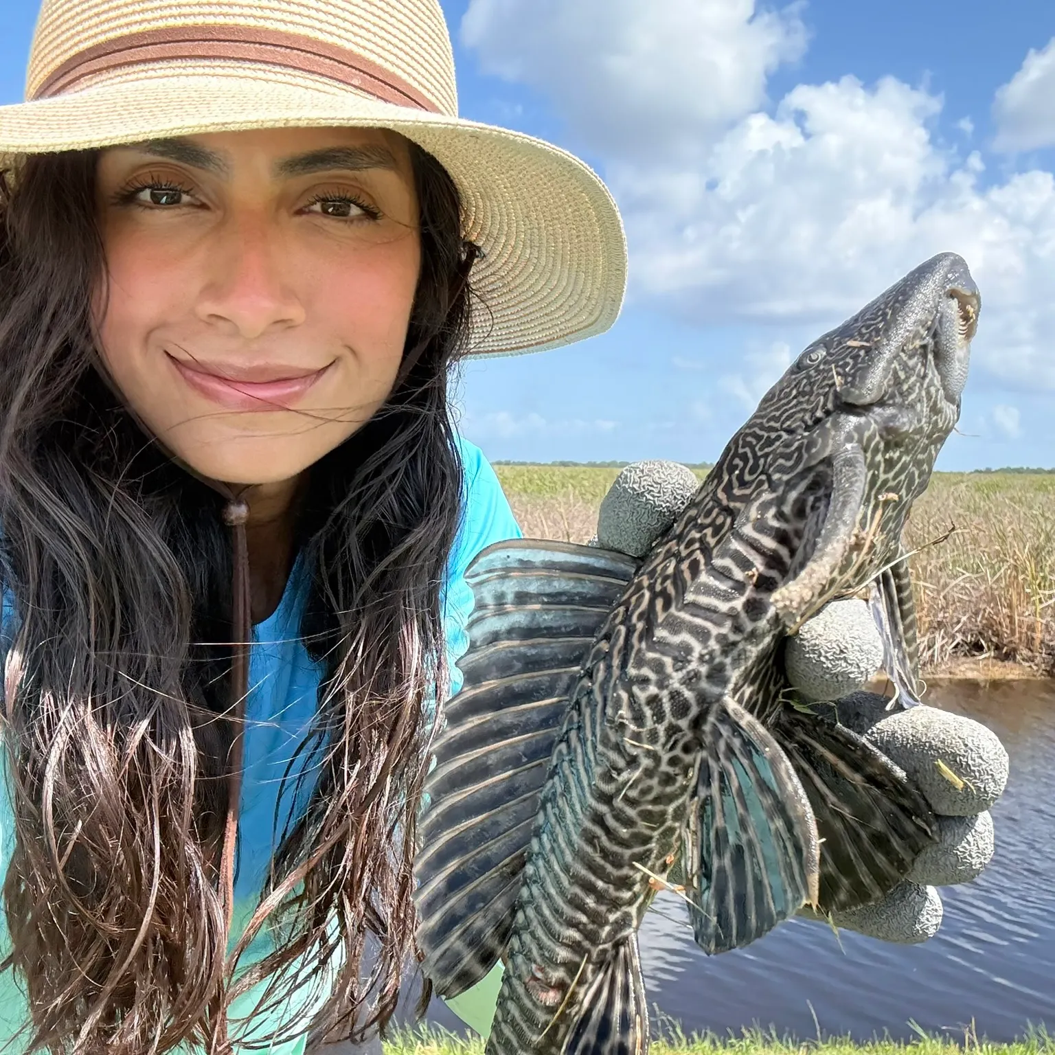The most recent Suckermouth catfish catches on Fishbrain