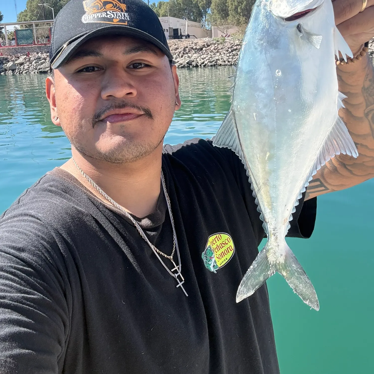 The most recent Shortfin corvina catches on Fishbrain