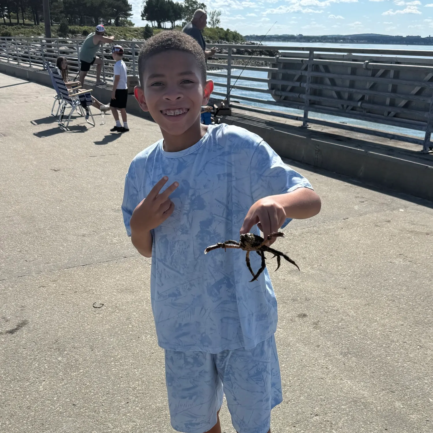 Green crab caught on Fishbrain