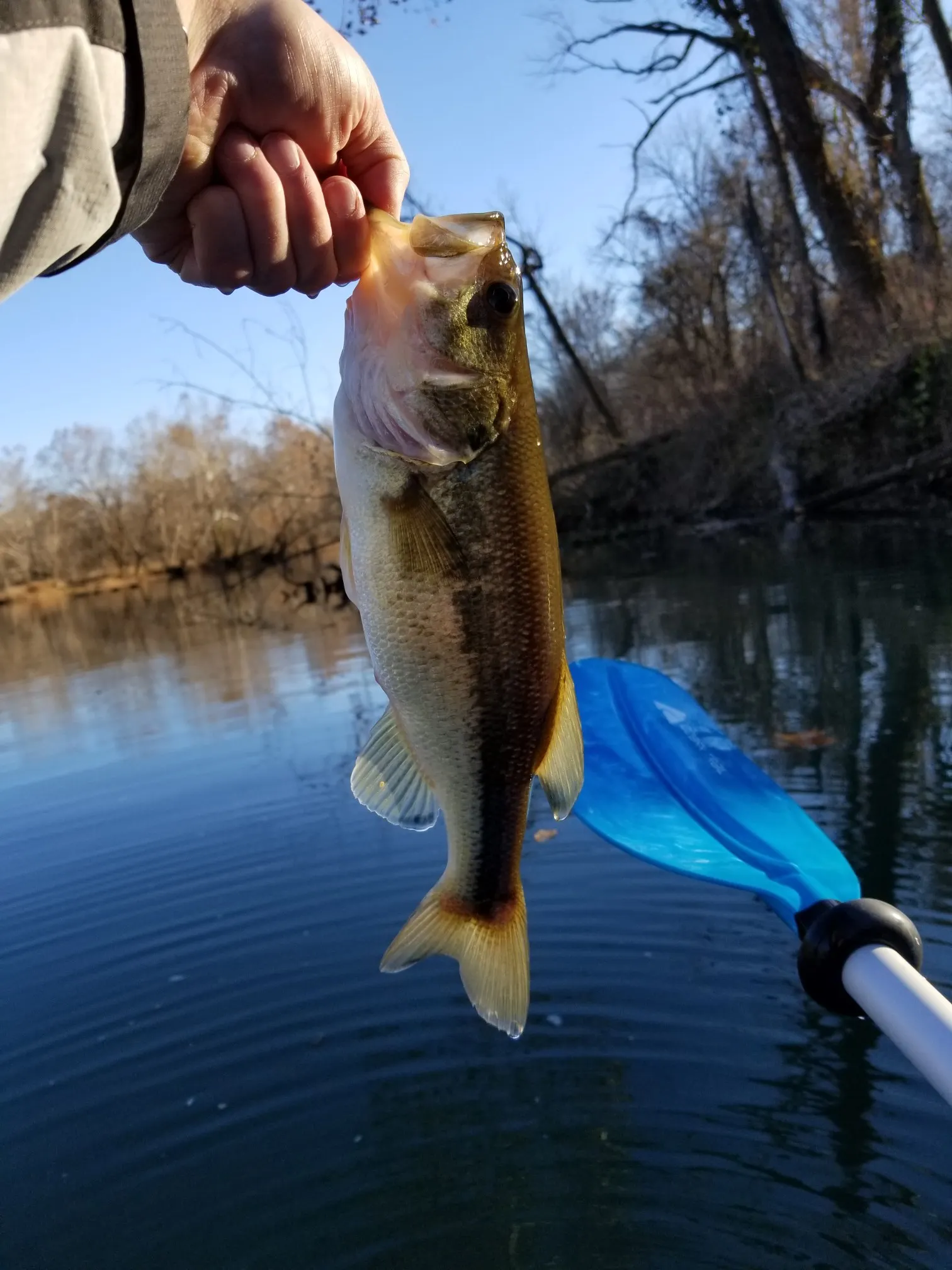 Post image from KayakSoldier