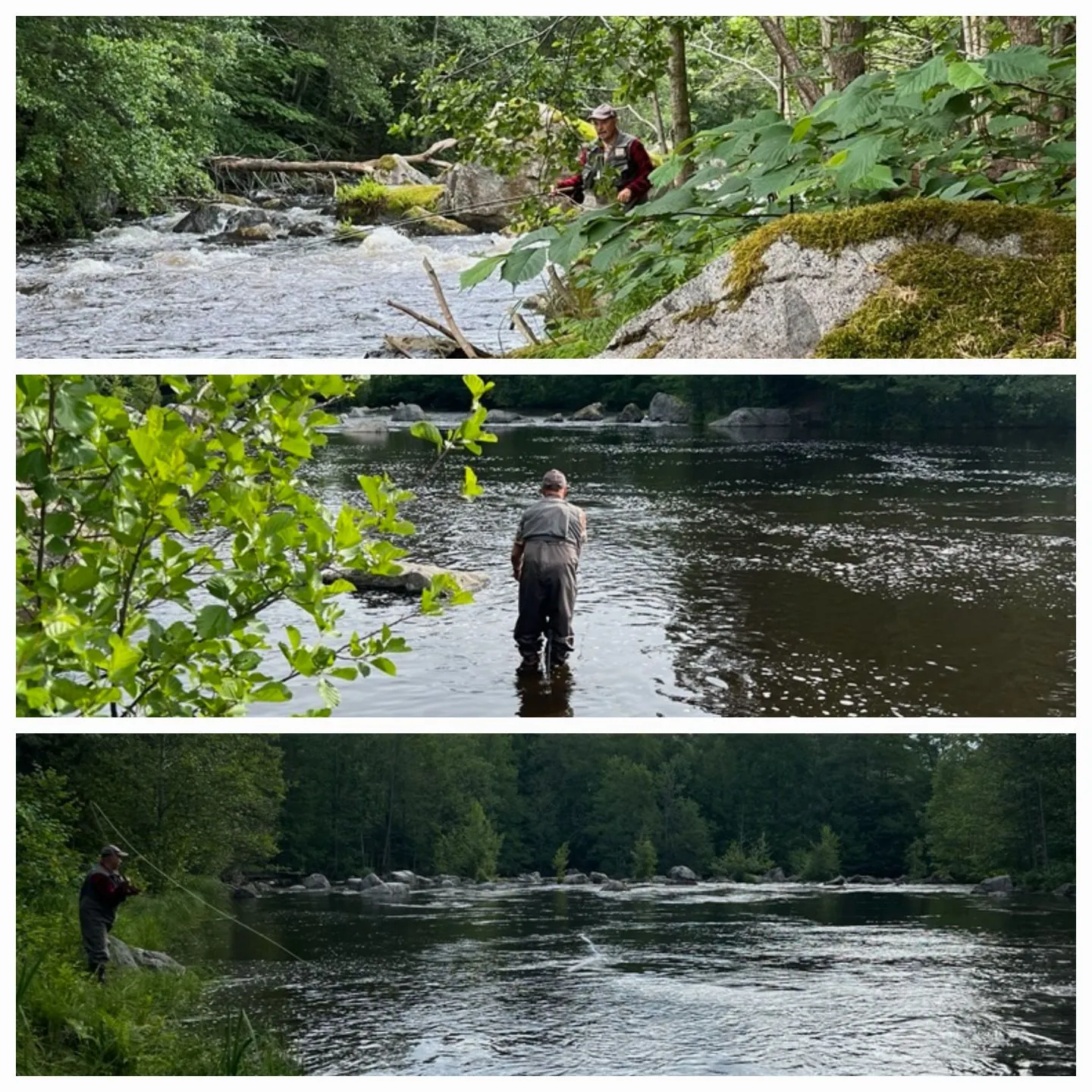 recently logged catches